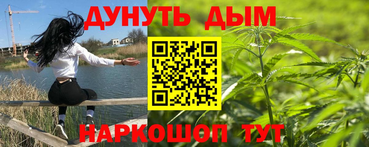 Канабис планчик Вичуга